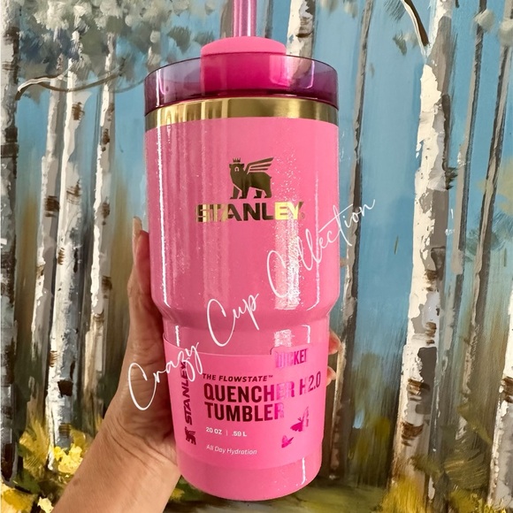Stanley Other - Stanley Wicked Glinda🩷 20oz